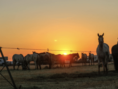 Chief Joseph Trail Ride:
